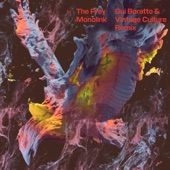 The Prey (Gui Boratto & Vintage Culture Remix) artwork