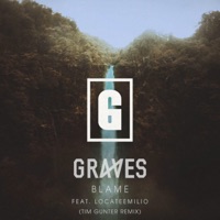 Blame (Tim Gunter Remix) [feat. LocateEmilio] - Single - graves