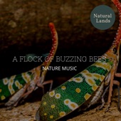 A Flock of Buzzing Bees - Nature Music