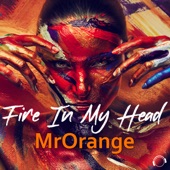 Fire In My Head (Extended Mix) artwork