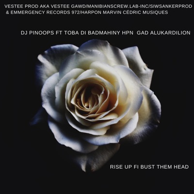 Rise up fi bust them (feat. Dj Pinop's) - Single