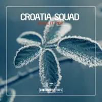 Make It Pop — Croatia Squad