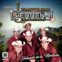 Como Mirarte — Tranquilidad Sierreña de Mauro Robles