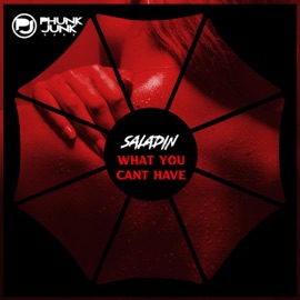 What You Can't Have (BLK Out Remix) SALADIN