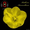 Ludwig Van Beethoven - Piano Sonata no. 29 in B flat major 'Hammerklavier', Op. 106 - I. Allegro - Ludwig van Beethoven