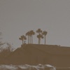 Palmilla Dr - Single