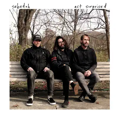 Act Surprised - Sebadoh