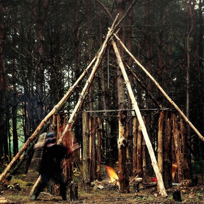 In a Groove in a Grove