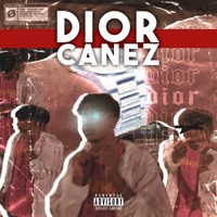 Dior - Single - Canez & Maelbeats