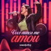 Você Nunca Me Amou - Single