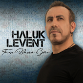 Tam Bana Göre - Haluk Levent