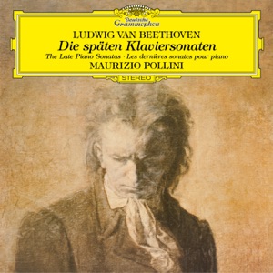 Beethoven: The Late Piano Sonatas (Nos. 28-32)