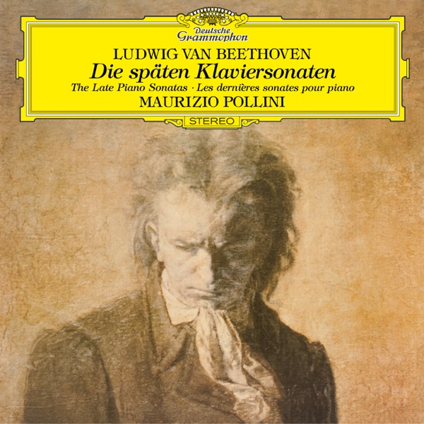 Beethoven: The Late Piano Sonatas (Nos. 28-32)