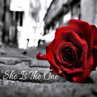 She Is the One - Single