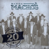 Banda Machos - La suegra