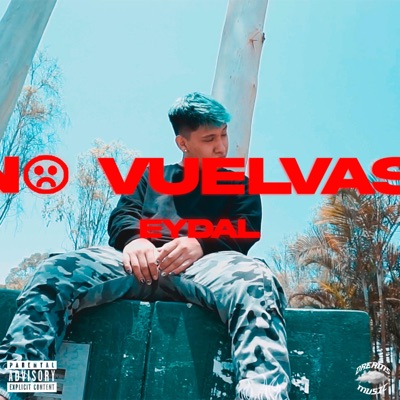 No Vuelvas - Single