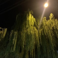 Zombie - Single - aldn