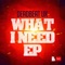 What I Need (Dr Cryptic Remix) - Deadbeat UK lyrics