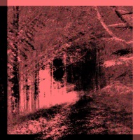 I Just Want To Know What It's Like To Finally Feel Okay - Single - Negative Zero