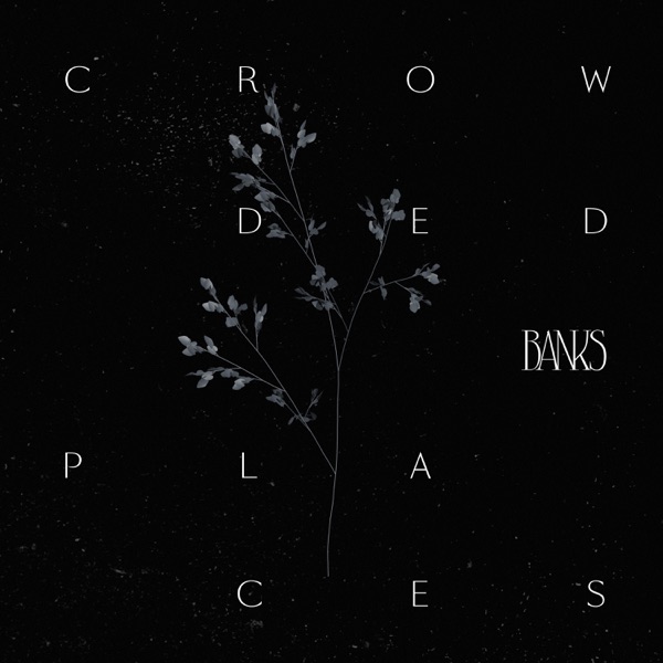 Crowded Places - Single - BANKS