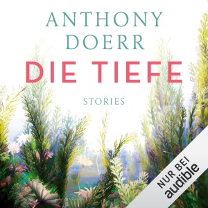 Die Tiefe: Stories