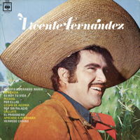 Hermoso Cariño - Vicente Fernández Cover Art