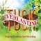 Seventeen - Andrew Keenan-Bolger, Terrence Mann, Sarah Charles Lewis & Tuck Everlasting Original Broadway Cast Ensemble lyrics