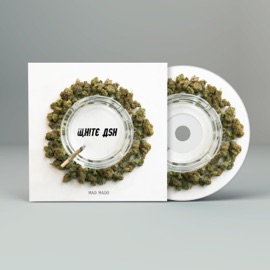 Not in (feat. Darewin) MadMado