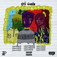Upcoming Fruition - Single - OC Guala