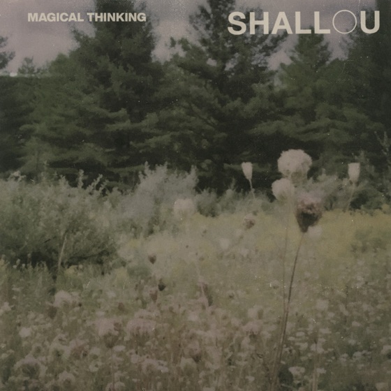 Cover artwork for Fading