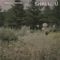 Mutual Love - Shallou & Zachary Knowles lyrics