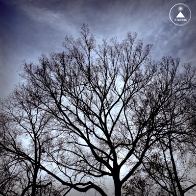 Autumn's End (feat. Brady Jo) - Single