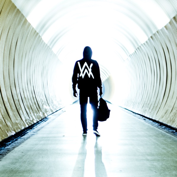 Alan Walker mit Faded