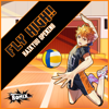 Fly High "Haikyuu" - Romix