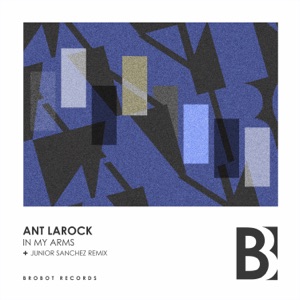 In My Arms - Single