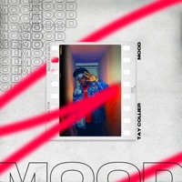 Mood - Single - Tay Collier