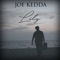 Lily - Joe Kedda lyrics