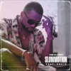 Slowmotion (feat. Praiz)