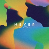 Never artwork