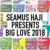 Brighter days (Seamus Haji Re
