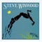 While You See a Chance - Steve Winwood lyrics