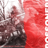 Rossoneri - Single - Dziuny