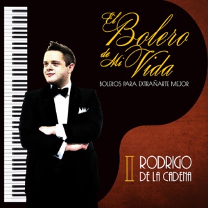 El Bolero de Mi Vida Boleros para Extrañarte Mejor