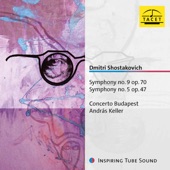 Symphony No. 9 in E-Flat Major, Op. 70: II. Moderato artwork