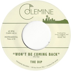 Won't Be Coming Back - Single