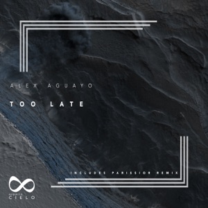 Too Late - Single