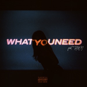 What You Need (feat. THEY.)