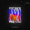 Don't Know Where to Go - Single