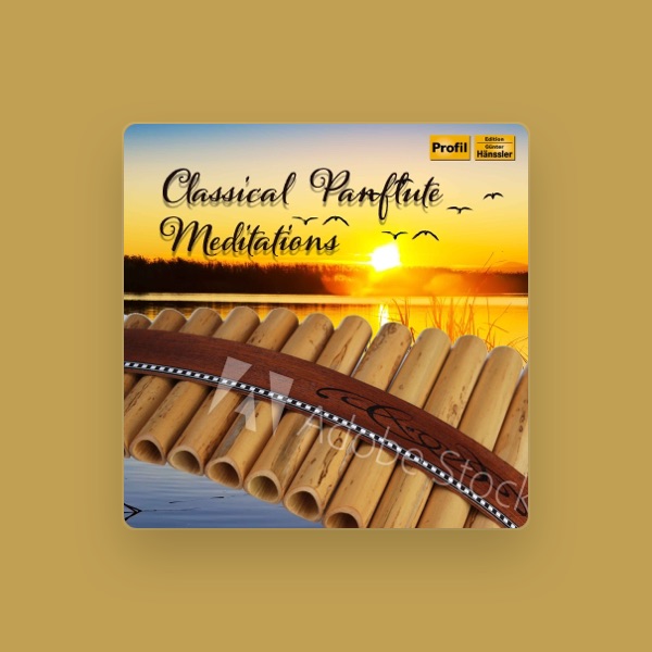 Rumänische Staatsphilharmonie Arad's avatar