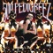 Big Pokey - Burks Bigga lyrics